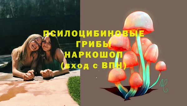 PSILOCYBIN Алзамай