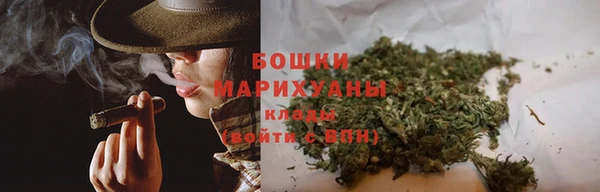 PSILOCYBIN Алзамай