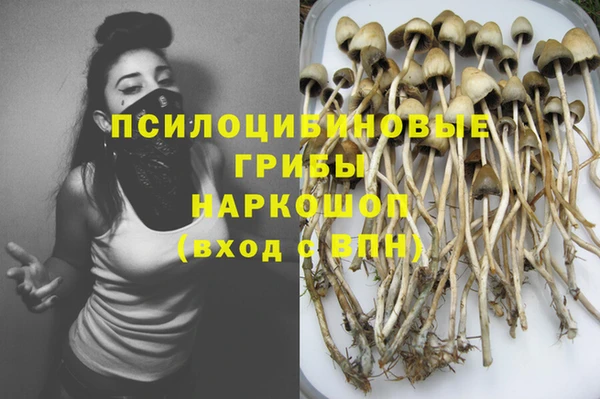 синтетический гашиш Алексеевка