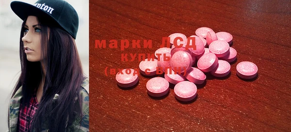 PSILOCYBIN Алзамай