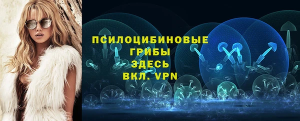 PSILOCYBIN Алзамай