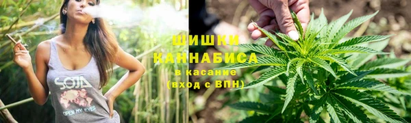 PSILOCYBIN Алзамай
