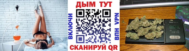 купить   Бавлы  Каннабис семена 